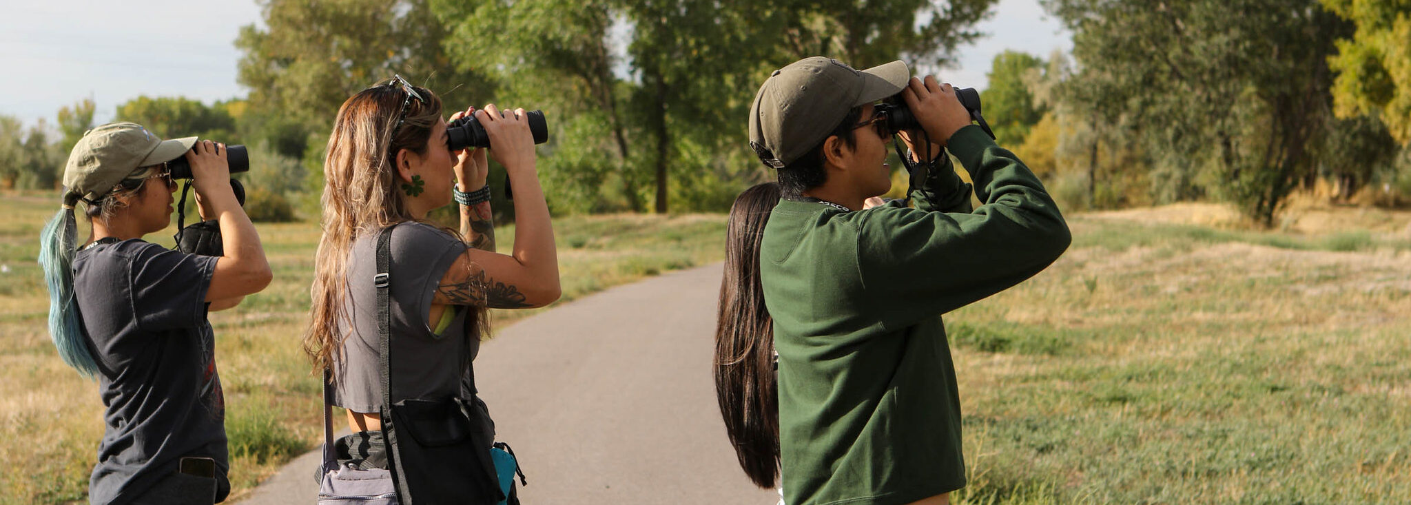 Bird Walks</h6>