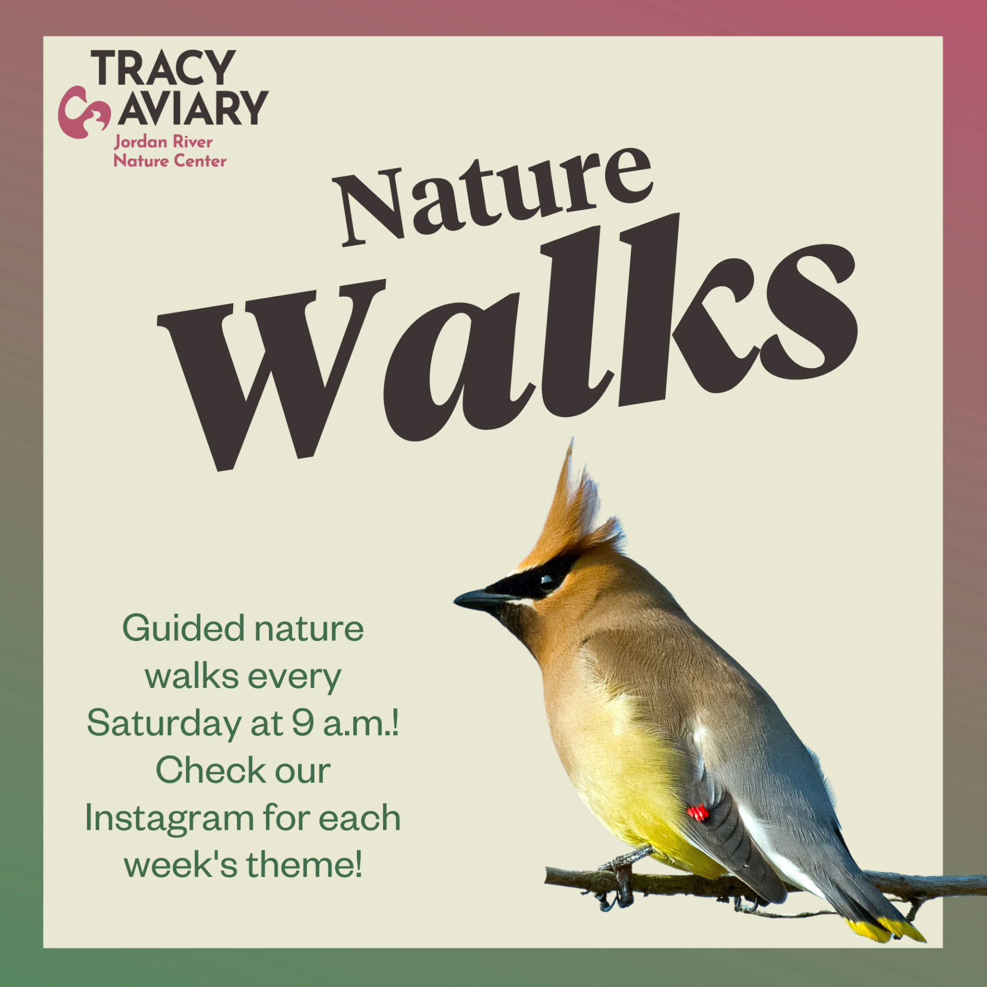 Events at Jordan River Nature Center's Tracy Aviary