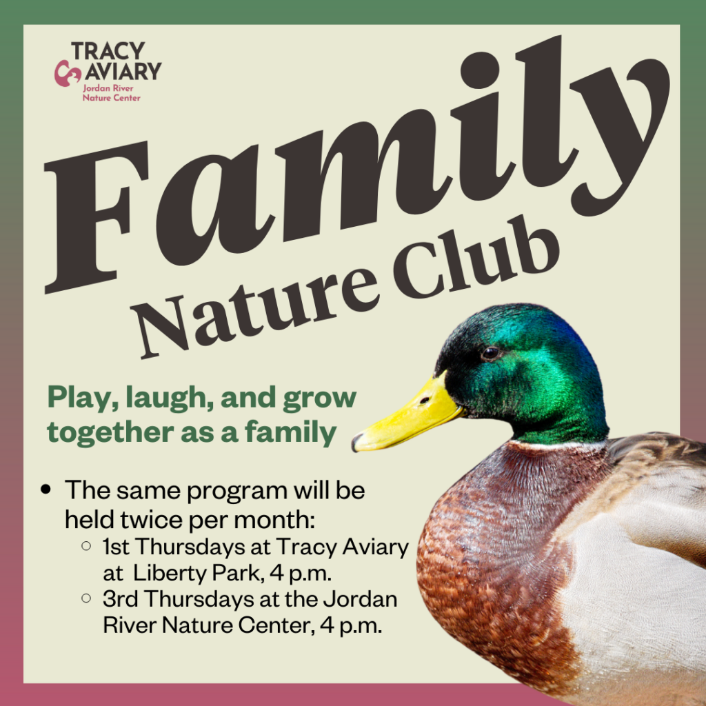 Events at Liberty Park's Tracy Aviary