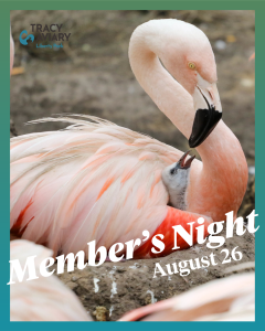 Member's Night August 26 Wear Pink Pink Flamingo and Baby in Photo