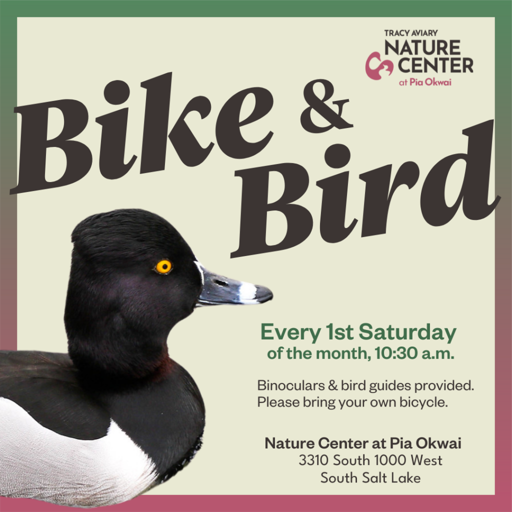 Bike and Bird Nature Center at Pia Okwai