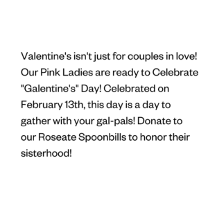 Valentine's isn't just for couples in love! Our Pink Ladies are ready to Celebrate "Galentine's" Day! Celebrated on February 13th, this day is a day to gather with your gal-pals! Donate to our Roseate Spoonbills to honor their sisterhood!